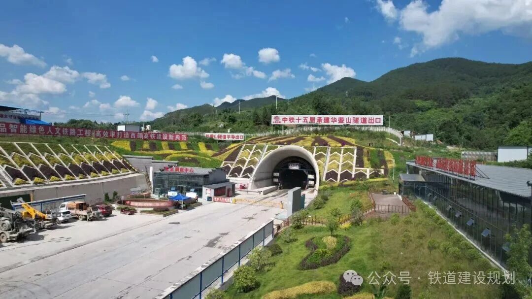 1770618498156594.jpg 1.jpg